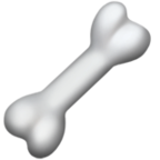 Bone