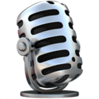 Studio Microphone