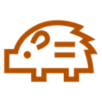 Boar