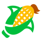 Ear of Corn