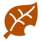 Fallen Leaf