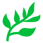 Herb