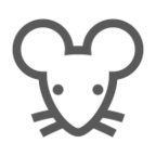 Mouse Face