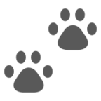 Paw Prints