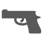 Pistol