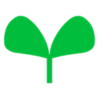 Seedling