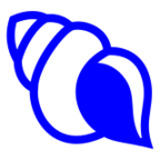 Spiral Shell