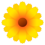 Blossom