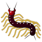 Bug