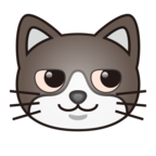 Cat with Wry Smile