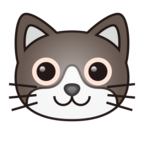 Cat Face