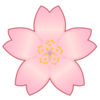 Cherry Blossom