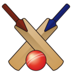 Cricket Game