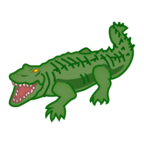 Crocodile