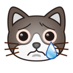 Crying Cat