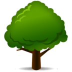 Deciduous Tree