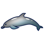 Dolphin