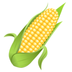 Ear of Corn