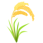 Sheaf of Rice
