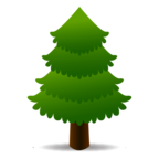 Evergreen Tree