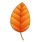 Fallen Leaf