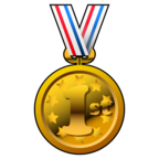 1st Place Medal
