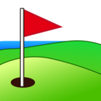 Flag in Hole