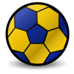 Person Playing Handball