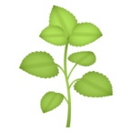 Herb