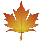 Maple Leaf