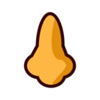 Nose