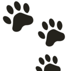 Paw Prints
