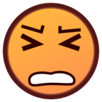 Persevering Face
