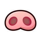 Pig Nose