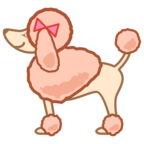 Poodle