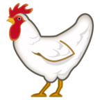 Rooster