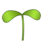 Seedling