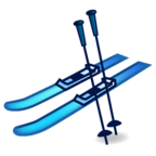 Skis