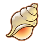 Spiral Shell