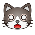Weary Cat