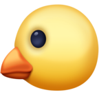 Baby Chick