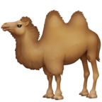 Two-Hump Camel