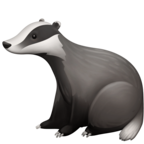Badger