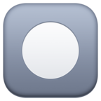 Record Button