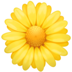 Blossom