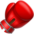 Boxing Glove