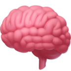 Brain