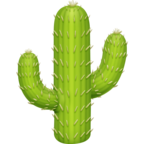 Cactus