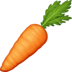 Carrot