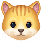 Cat Face